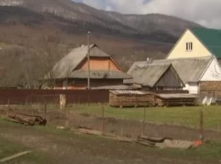 На Закарпатті невідома тварина тероризує мешканців села