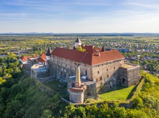 Товариство угорської культури Закарпаття здивоване рішенням виконкому Мукачівської міськради