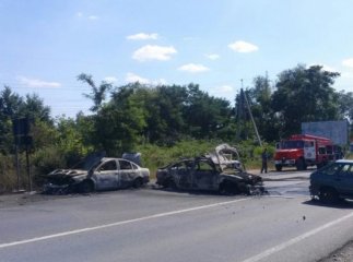 ТСК щодо подій у Мукачеві запланувала до 20 серпня поїхати на Закарпаття