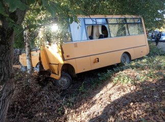 На Закарпатті шкільний автобус потрапив у ДТП. У нього врізалась "Ауді"
