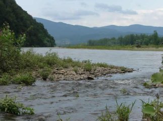 Прокуратура хоче скасувати розпорядження голови Виноградівської РДА