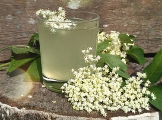 Як приготувати квас з бузини: рецепт на 10 літрів води