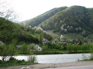 Які фестивалі чекають на Закарпатті у цьому році?