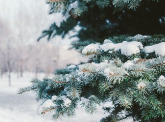 Якою буде погода на Новий рік і чи варто очікувати сніг