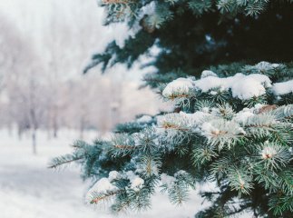 Коли в Україну нарешті прийде потепління: синоптики назвали дату