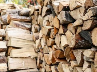 Жителі кількох областей безкоштовно отримають дрова на зиму