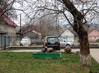 Замінування іномарки брата Федора Ващука в Ужгороді виявилось просто муляжем