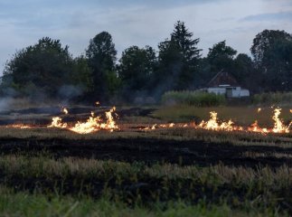 Мешканців Закарпаття попередили про небезпечне явище наприкінці літа