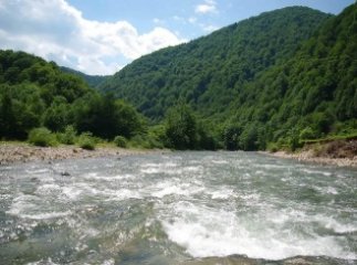 "Фестиваль фестивалів" стартує на Закарпатті