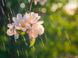 погода на квітень 2024 – очікують суттєве похолодання