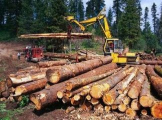 На Перечинщині люди встановили шлагбаум і не давали проїзду вантажним автомобілям до лісозаготівельної дільниці
