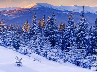 Краса гірських районів Закарпаття