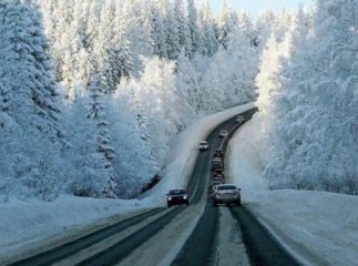 На Закарпатті перевали засипало снігом