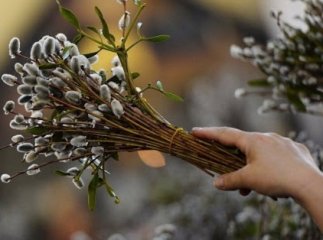 Які обмеження вводить ПЦУ на Вербну неділю