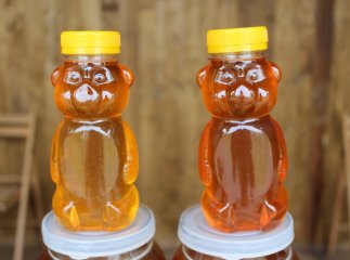 У Мукачеві розпочалось свято меду