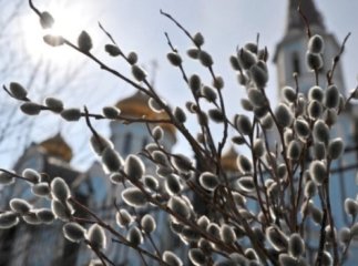 Вербна неділя — святкування в умовах карантину