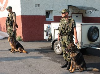У зону АТО проводжали закарпатських кінологів