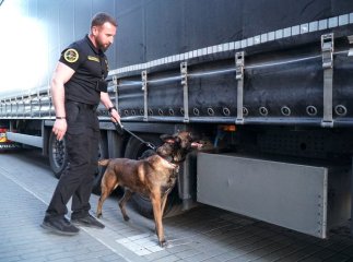 Закарпатська митниця відзвітувала про успіхи чотирилапих інспекторів