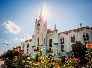 Українцям в інтернеті радять відсвяткувати День Незалежності на Закарпатті