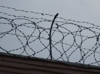 Ужгородського підполковника ДСНС, який скоїв ДТП, утримують в ізоляторі