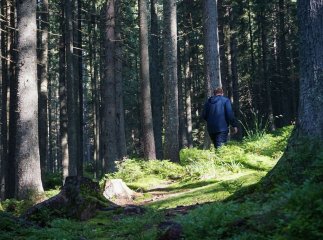 Жителі Закарпаття та ВПО можуть оформити спеціальну доплату до пенсії