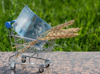 Заяви приймають до 2 липня: українці можуть отримати допомогу на ведення господарства