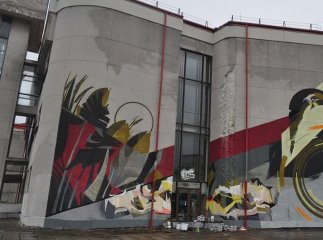 Команда художників завершила роботу над першим в Ужгороді муралом