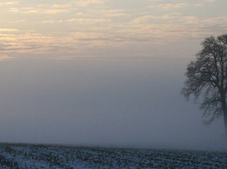 Штормове попередження: синоптики звернулися до закарпатців