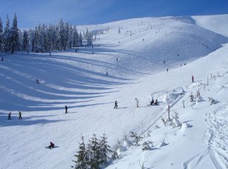 Співачка, яка підтримує росію, приїхала на Закарпаття