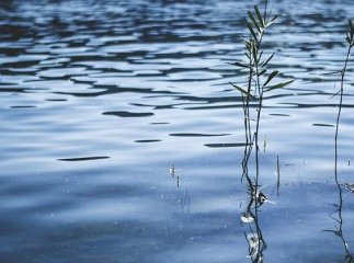 В одній з річок області знайшли тіло чоловіка, — соцмережі