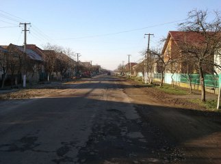 Біля села Великі Лучки знайшли тіло молодого чоловіка