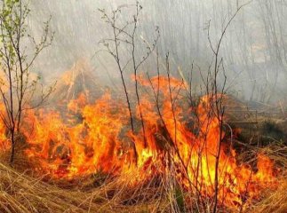 Депутати підтримали впровадження великих штрафів за підпал трави