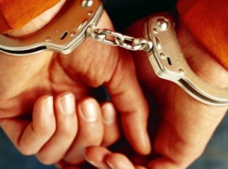 Область потерпає від крадіжок домашньої живності Область потерпає від крадіжок домашньої живності