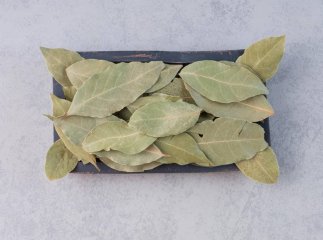 Навіщо лавровий листок кладуть під подушку: у чому він допомагає Навіщо лавровий листок кладуть під подушку: у чому він допомагає