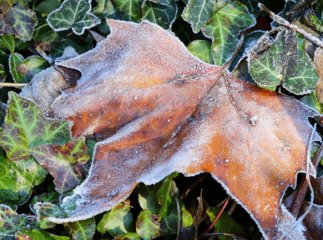 Україна буде чи не найхолоднішою країною в Європі: синоптики дали прогнози на найближчі дні
