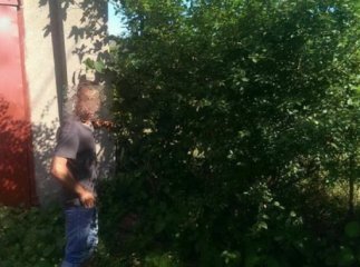 Мукачівський аграрний коледж намагалися пограбувати