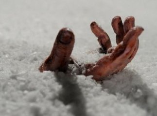 Через сильне обмороження помер один із нелегалів, що намагались перетнути кордон, інші двоє у тяжкому стані