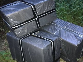 На кордоні з Угорщиною лунали постріли: одного чоловіка затримали