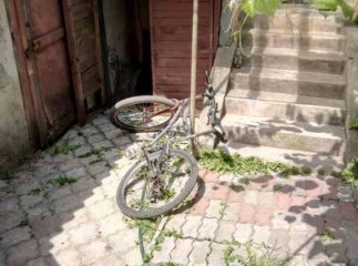 Пара черкаських "волонтерів" здійснила крадіжку у Виноградові