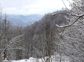 Похолодання, сніг та ожеледиця: синоптики озвучили попередження