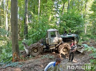 Поблизу Сваляви викрили "чорних лісорубів"