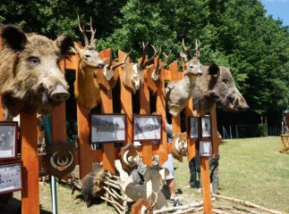 На Закарпатті завтра відбудеться свято "День мисливця"