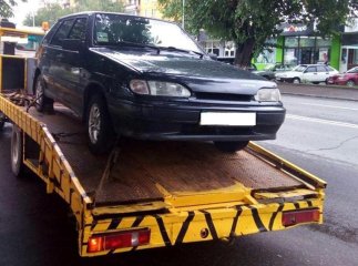 В Ужгороді біля супермаркету евакуювали "оленя"