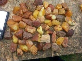 На Закарпатті судитимуть бурштинового митника-хабарника