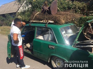 20-річний хлопець спробував підкупити поліцейських