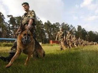 Чергова спроба незаконних мігрантів потрапити до Словаччини