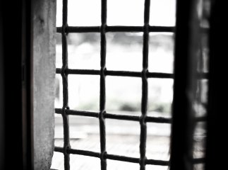 Альтернативні види покарань та їх перспектива: Берегівщина в приклад