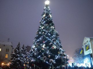 Хто запалить новорічні вогні на головній ялинці Мукачева: результати голосування