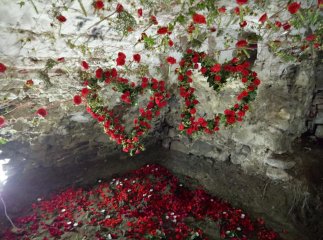 В Чинадієві відбудеться квітковий фестиваль "Кохання в Сент-Міклош"