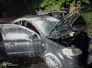 Запалав як факел посеред селища: прикрий випадок стався на Тячівщині